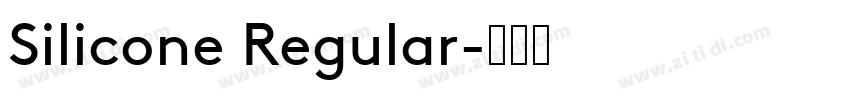 Silicone Regular字体转换